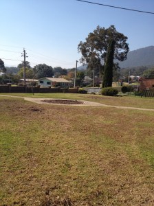 Starting Over - the Garden Centrepiece