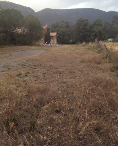 The view out back - on a cold day, with much more cold to come
