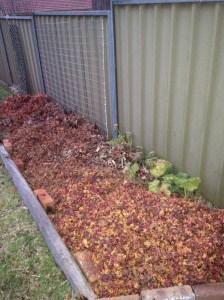 The extended pumpkin patch