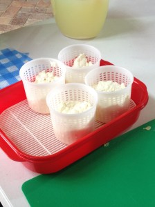 Setting our cheeses in rounds to dry