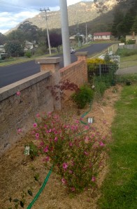 Making progress. I'd like the bed to be about twice as deep to allow for an abundant garden