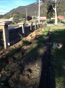 Taking shape but so much more digging to go.