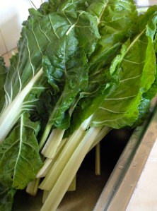 Lots and lots of fresh old fashioned spinach