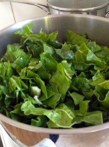 Chopped and ready for wilting - a really big saucepan