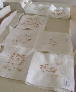 Dried and ready for bagging