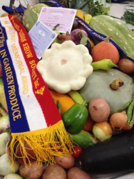 One day I might just get there ...