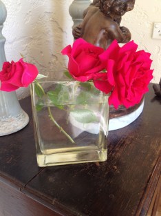 There are always some roses to pick. These are my signature Good Samaritans