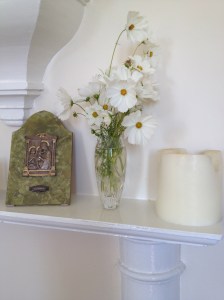 The Cosmos provide many flowers