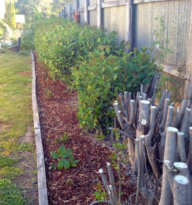 This is starting to look as I had planned - much more structured and formal.