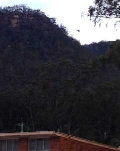 Water bombing helicopters out the back.