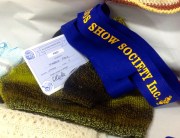 My baby jumper in Zauberball did well in a few shows.